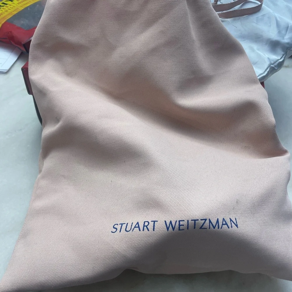 Stuart Weitzman Nude Heels with Silver Detailing - Picture 4 of 4